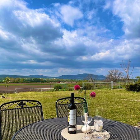 Penzion U Vinarstvi Sabata Zaječí Bagian luar foto