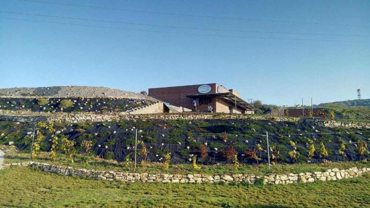 Penzion U Vinarstvi Sabata Zaječí Bagian luar foto