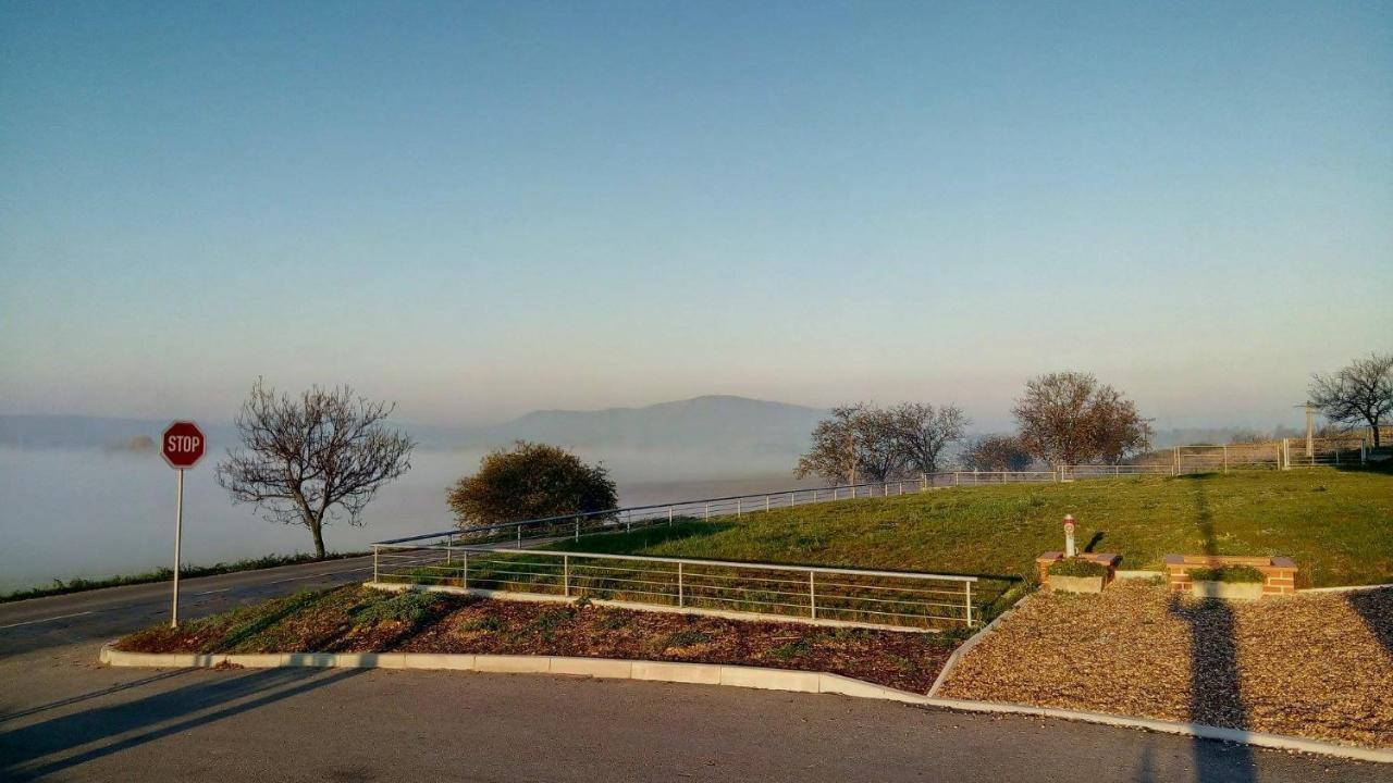 Penzion U Vinarstvi Sabata Zaječí Bagian luar foto